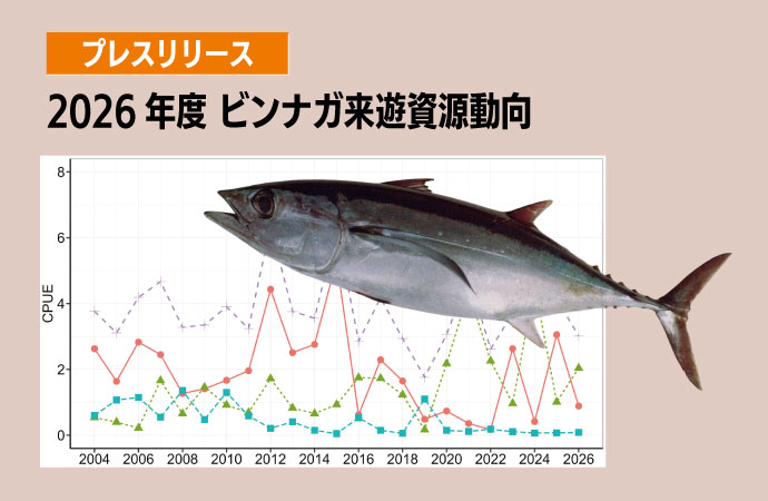 2026年度ビンナガ来遊資源動向