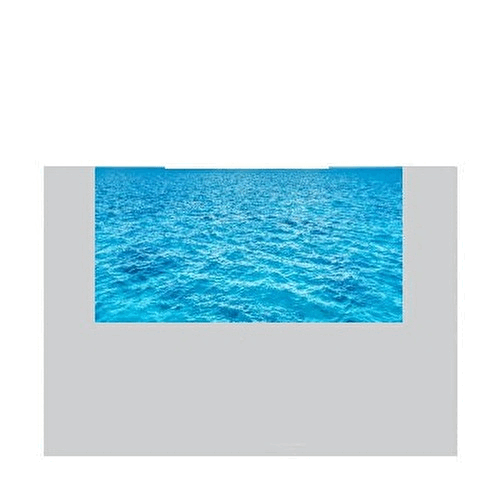 クジラ