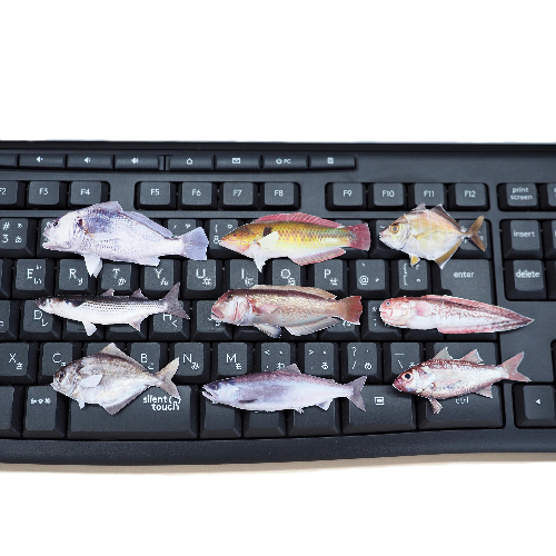 ミニサイズ
