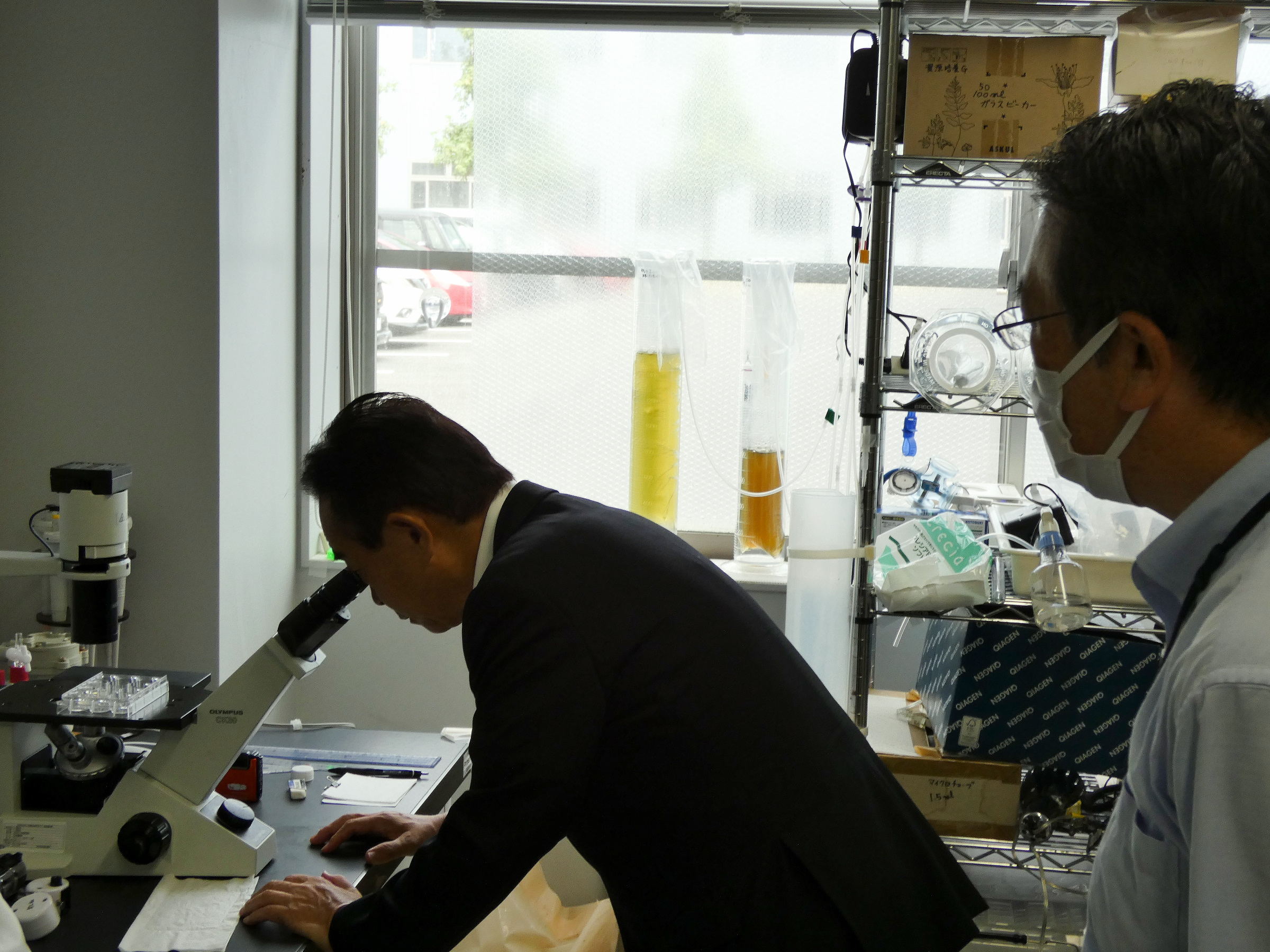 赤潮プランクトンを顕微鏡で観察中