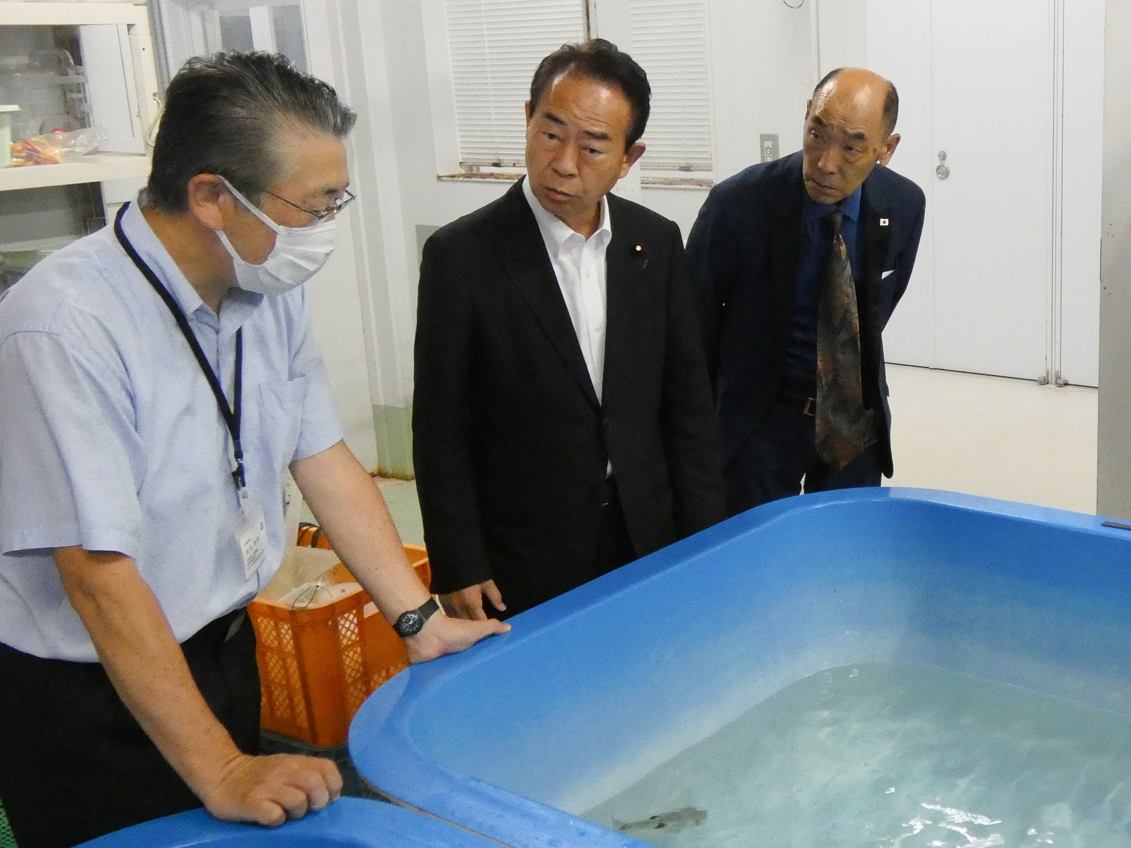 赤潮耐性実験の様子を見学