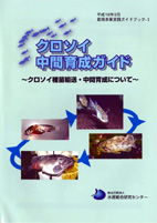 ガイドブックシリーズ