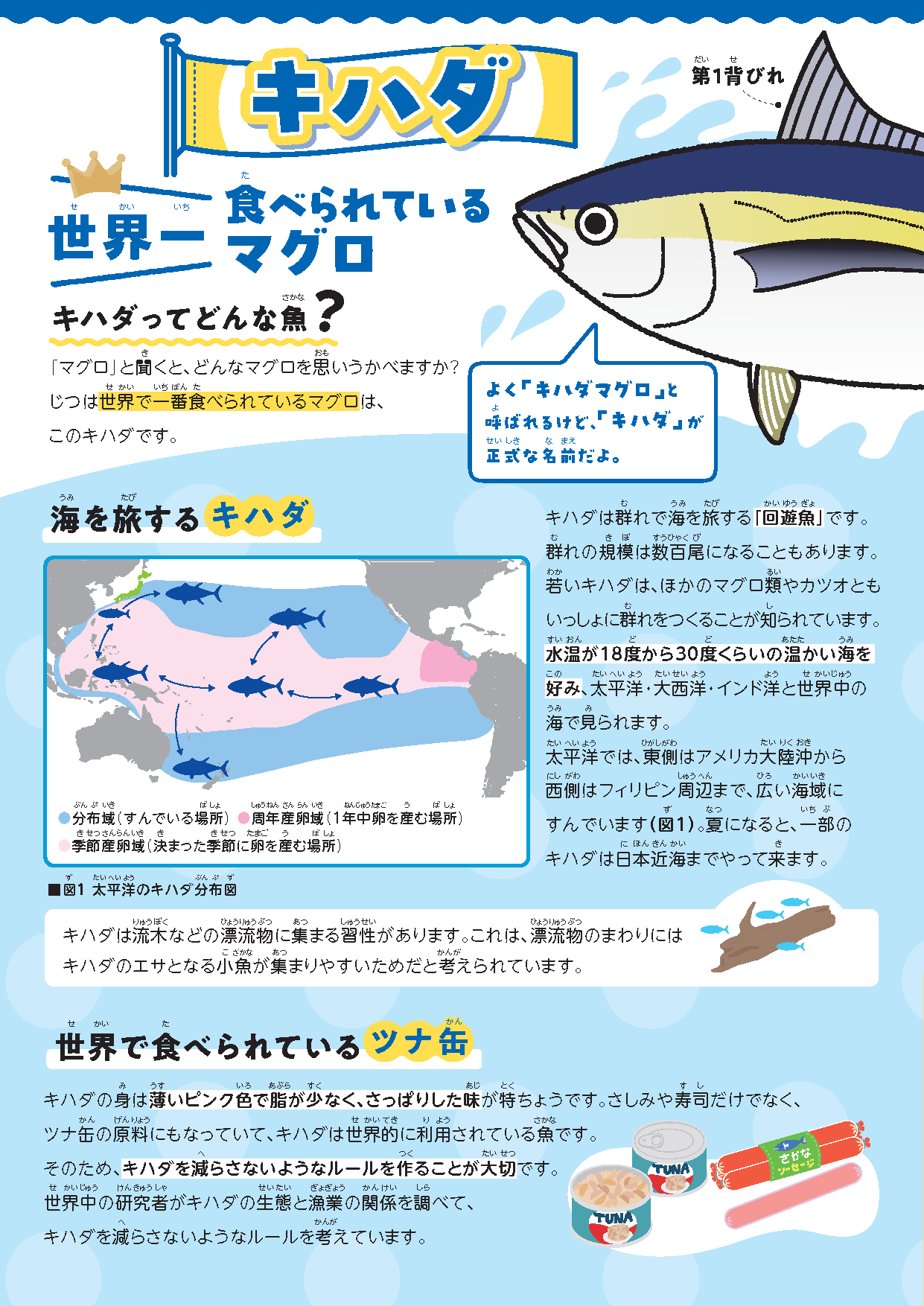 おさかな瓦版 | 国立研究開発法人 水産研究・教育機構
