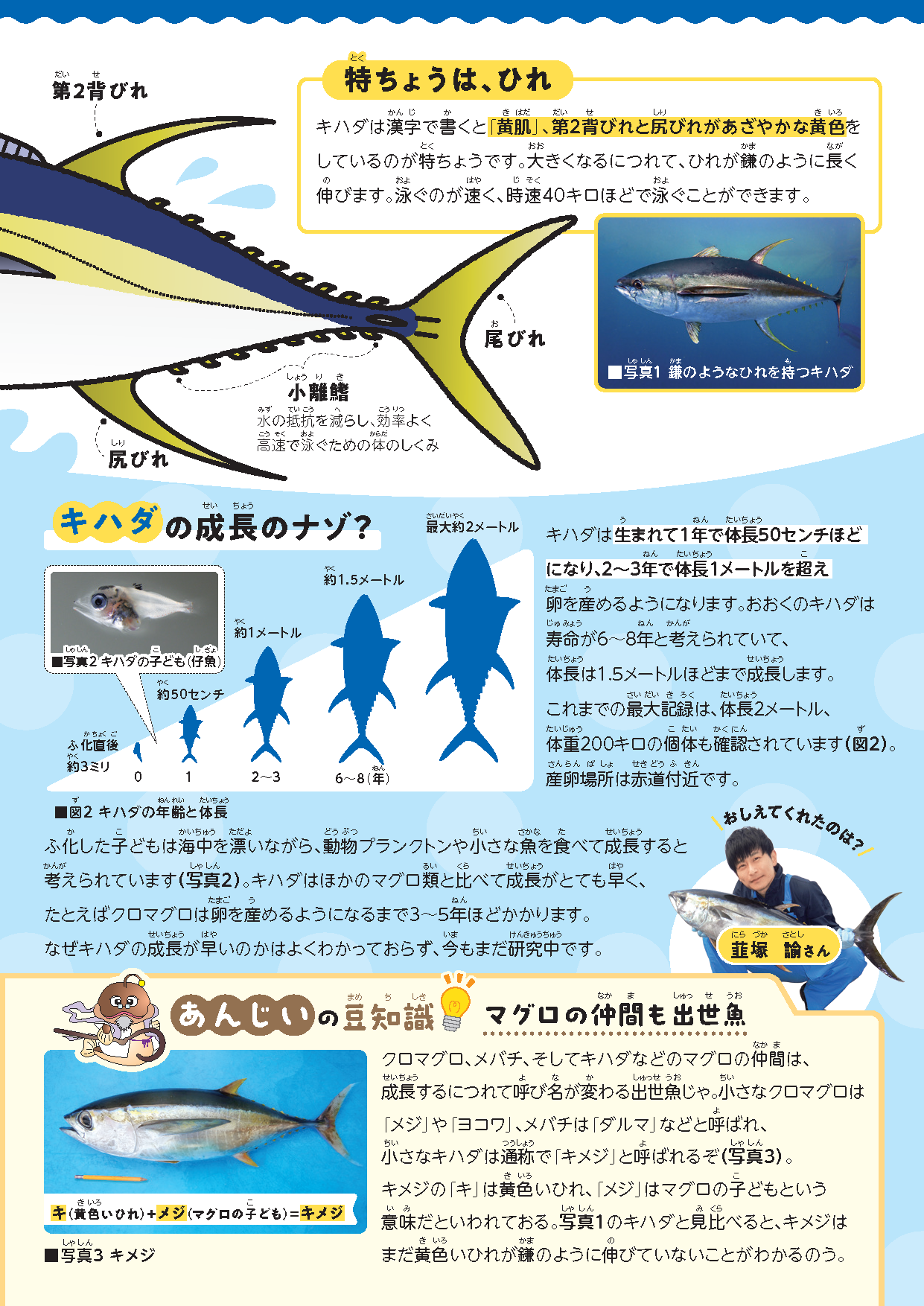 おさかな瓦版 | 国立研究開発法人 水産研究・教育機構