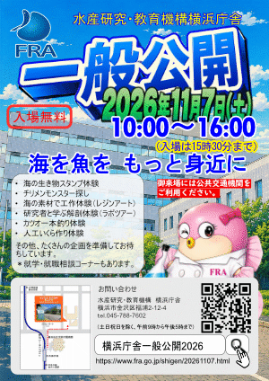 横浜庁舎一般公開のポスター