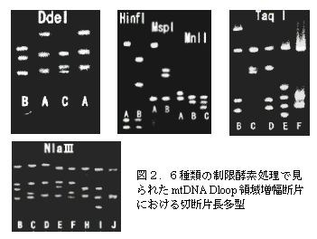 図2