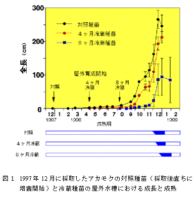 図1