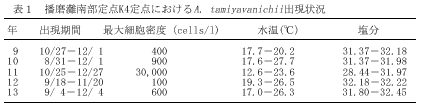 表1