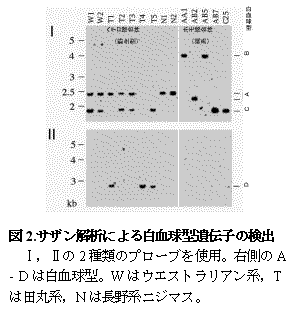 図2