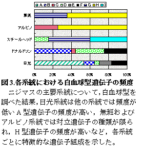 図3
