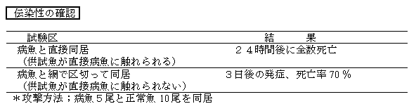 表1
