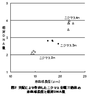 図2