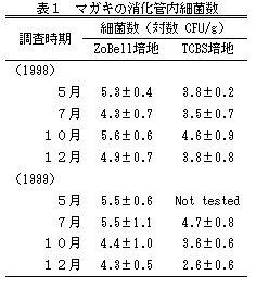 表1