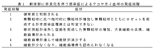 表1