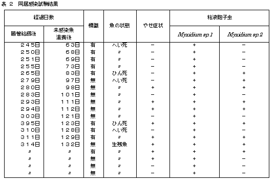 表2