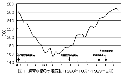 図1