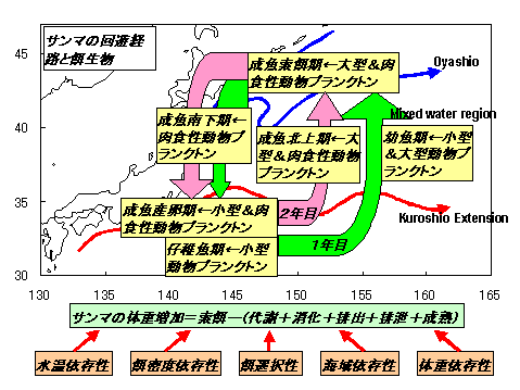 図1