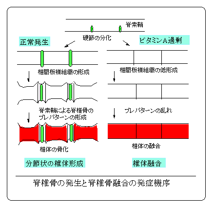 図1