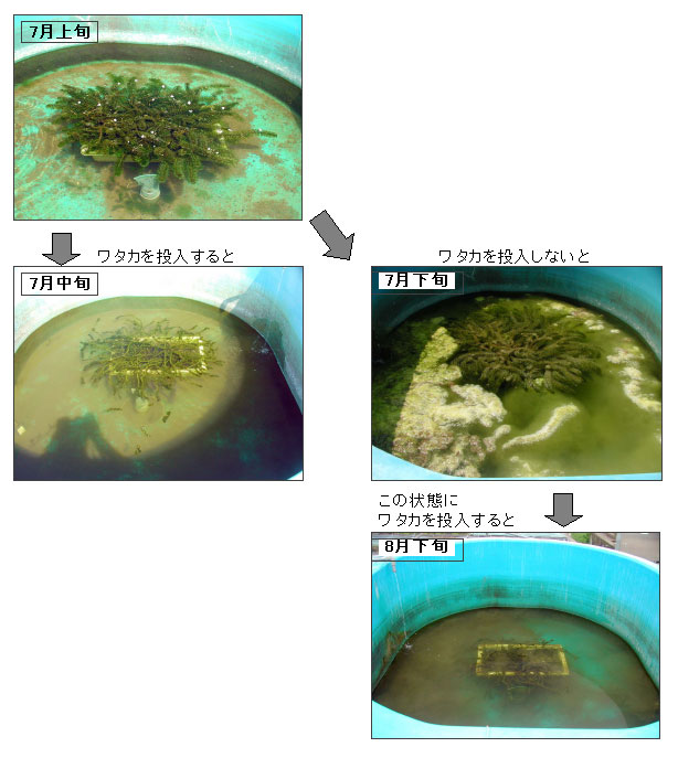 図1