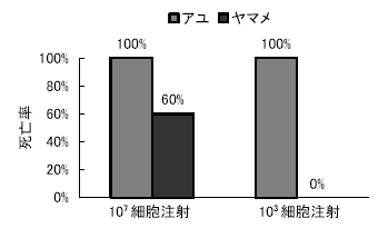 図1