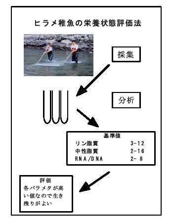 図2