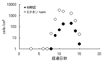 図1