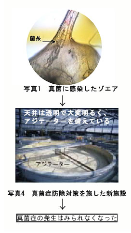 図1