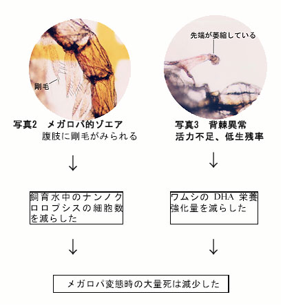 図2