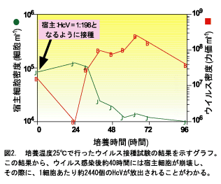 図2