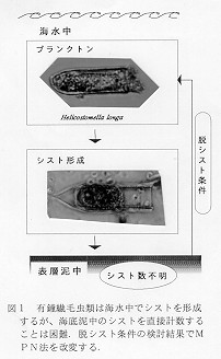 図1
