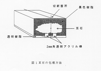 図1
