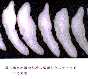 図3