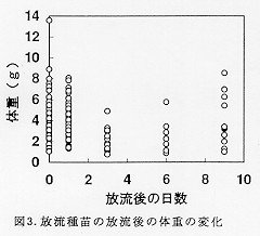 図3