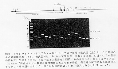 図2