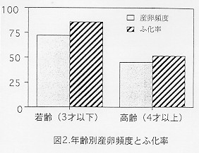 図2
