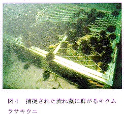 図4