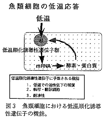 図3