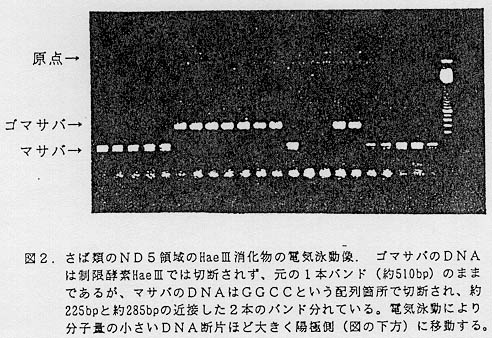 図2