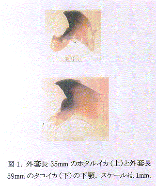 図1