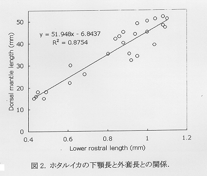図2