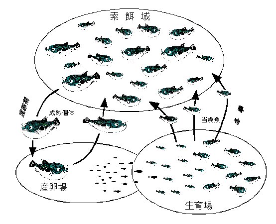 図3