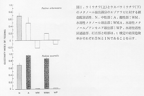 図1