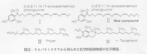 図2
