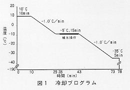 図1