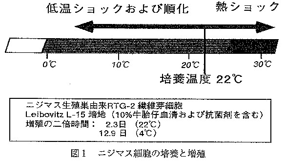 図1