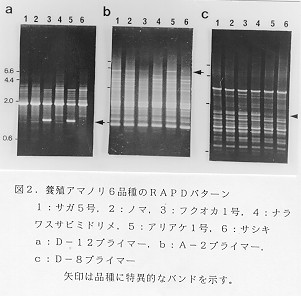 図2