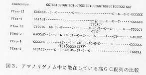 図3