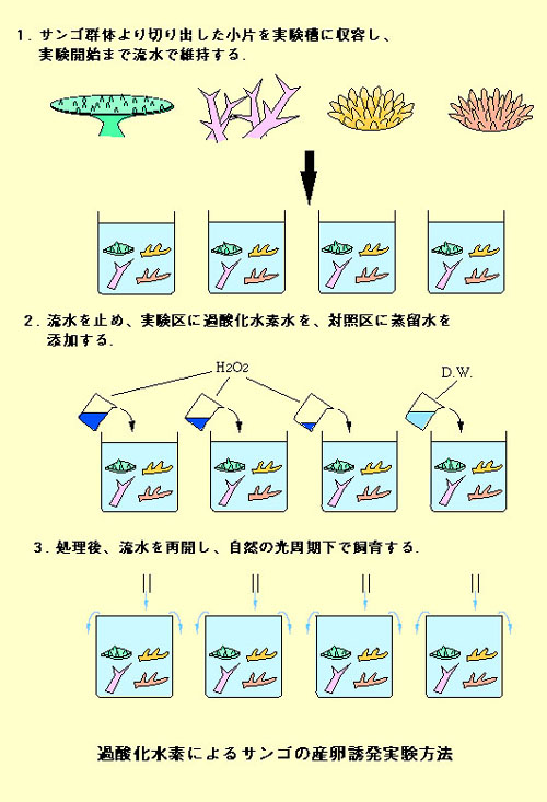 図1