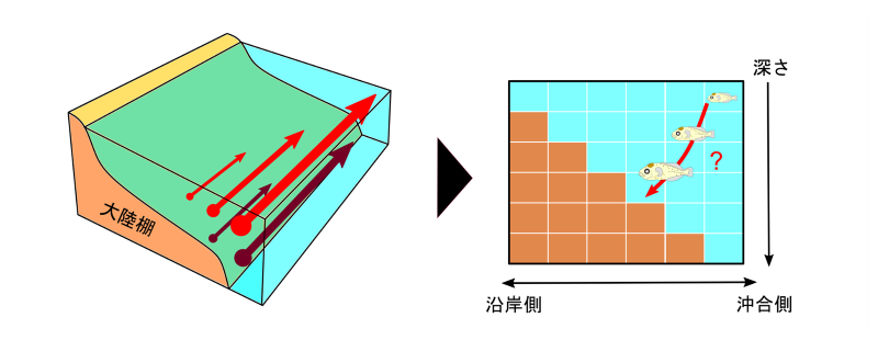階段チャートの解析の概要