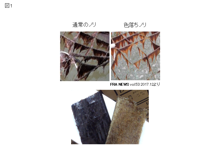 図1の画像